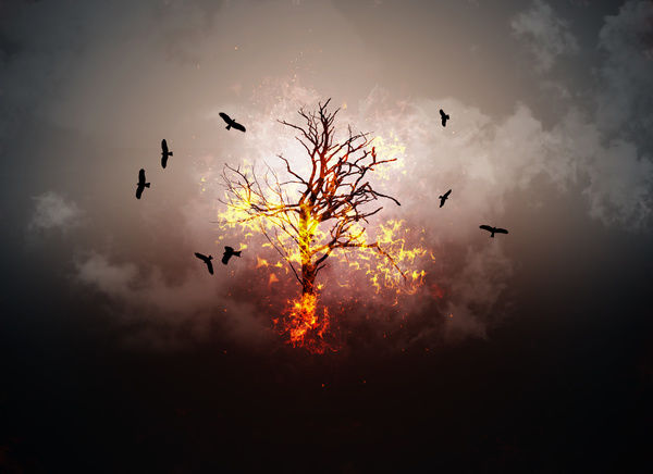 Burning branches – Photo © Rui Almeida Photography